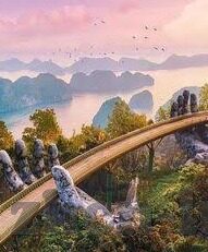 后入人妻在线-探索网络世界的边界，网络行为与伦理的微妙平衡