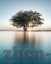 久久人妻中文字幕-探索成人影片的多元性与社会影响，以久久人妻中文字幕为例