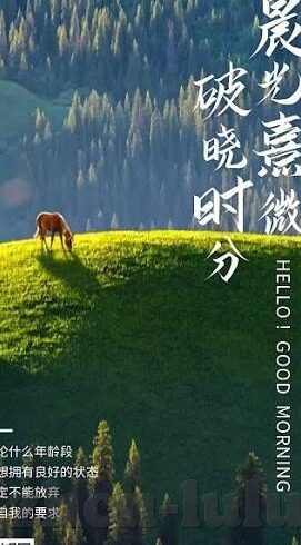麻豆传媒不违法吗-题记，麻豆传媒现象的法律审视与公序良俗