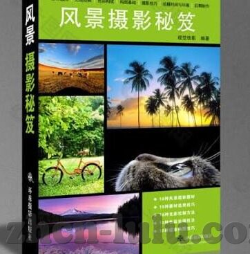 美味人妻下载-品味生活之味，探索美味人妻的独特魅力