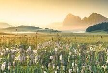 日韩一区二区在线-日韩影视内容区域解析，一区与二区的特色与差异