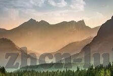 糖心app兑换码免费-浮生若梦，福利先行 —— 探寻糖心app兑换码的精彩旅程